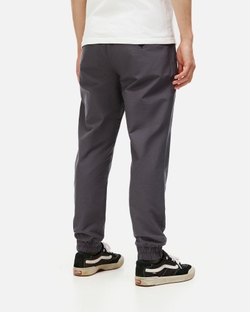 Брюки Anteater Simple Joggers Grey