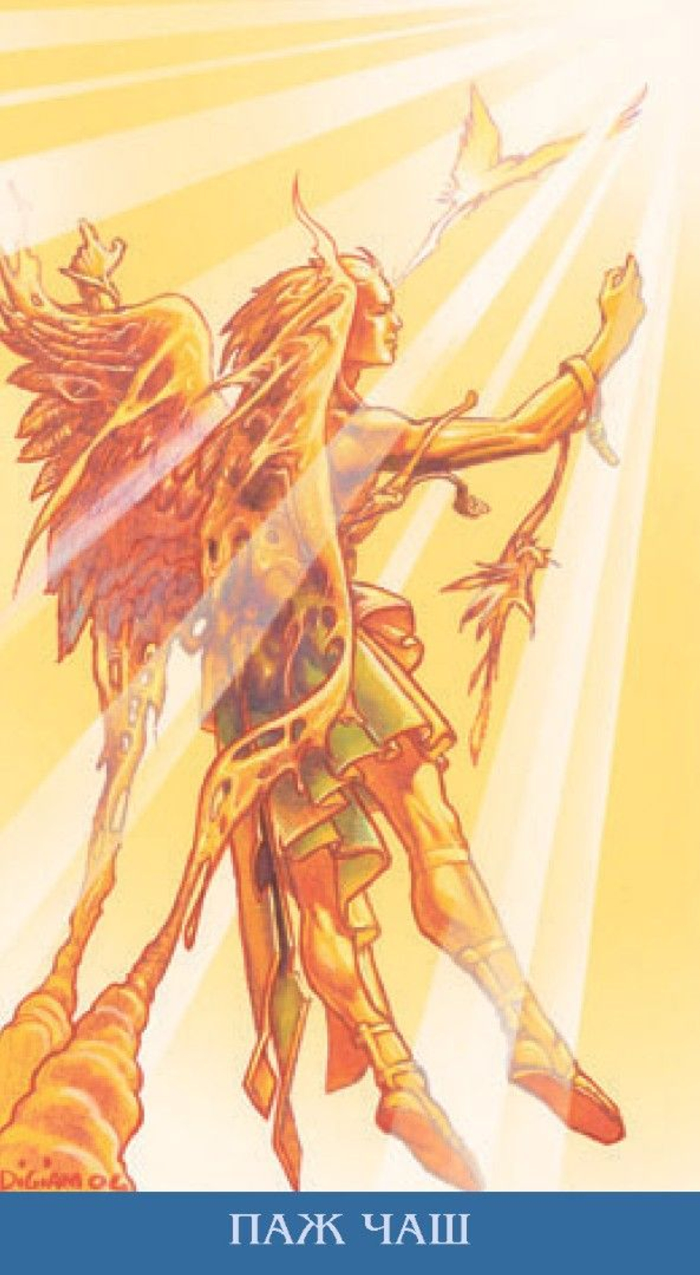 Таро Метаморфоз (RUS)