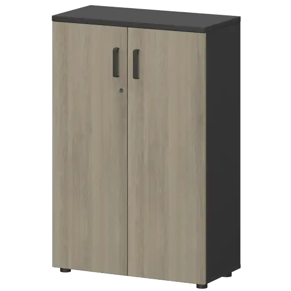 Шкаф СМШ-38Д Тип1  792x380x1214 Смарт