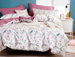 Постельное белье 2 спальное евро Asabella 1496-6