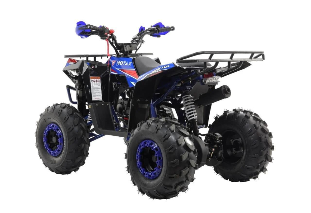 Квадроцикл MOTAX GRIZLIK A125