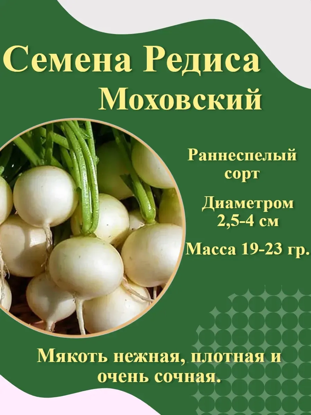 Семена Редиса белый