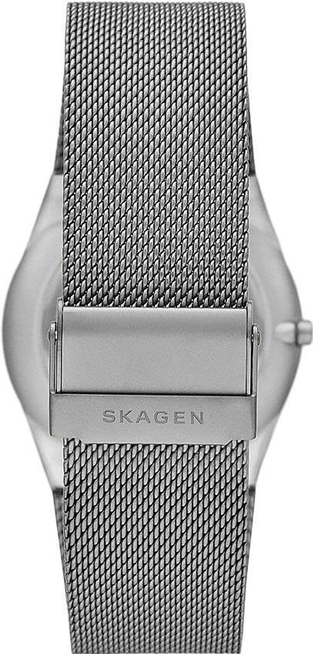 Мужские наручные часы Skagen SKW6789