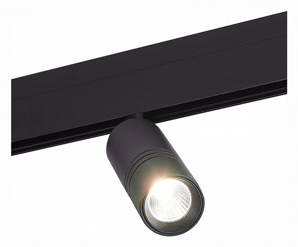 Светильник на штанге ST-Luce Lemmi ST365.446.12