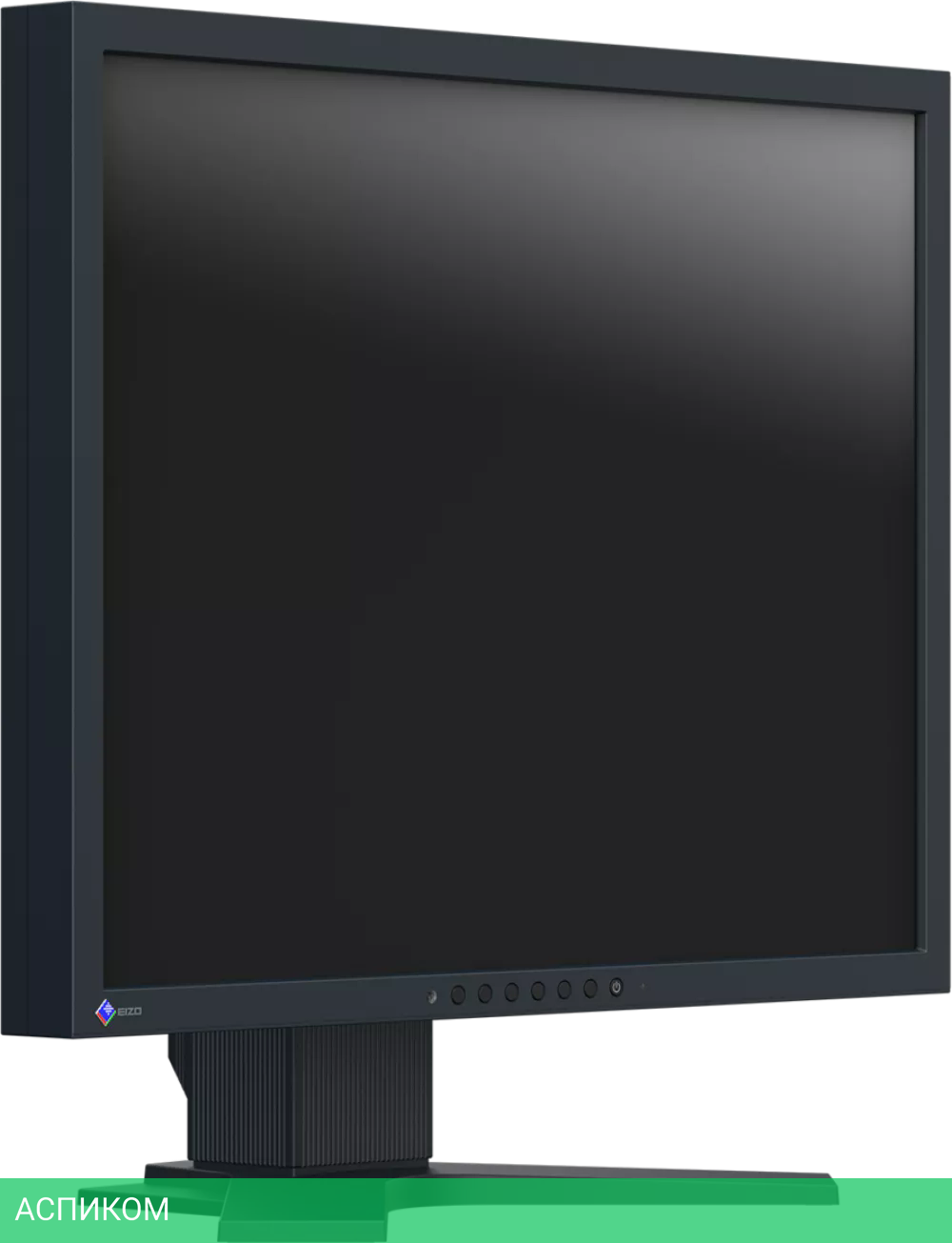 Монитор EIZO FlexScan S2133 (S2133-BK)