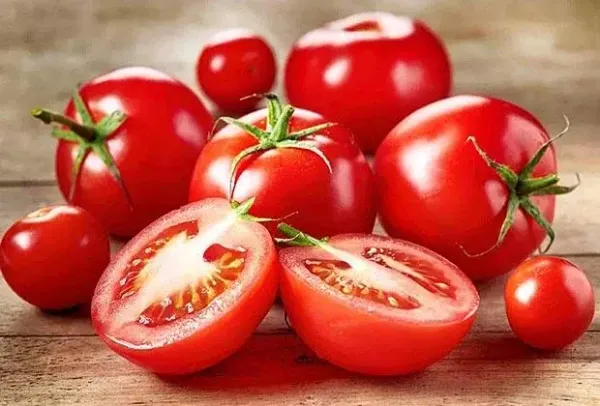 Болезни томатов