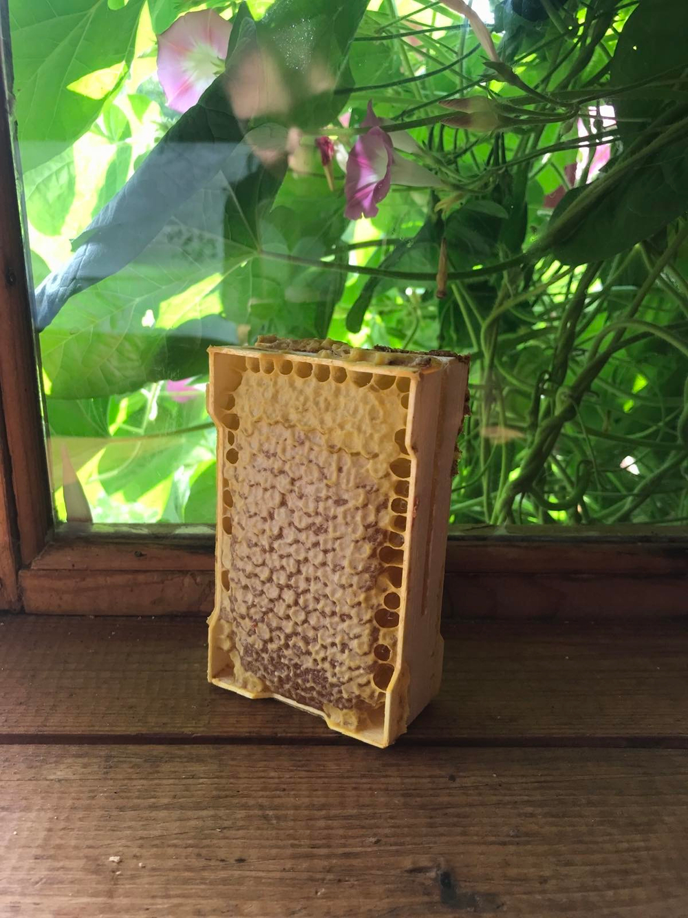 Сотовый мёд в мини-рамке 250 г