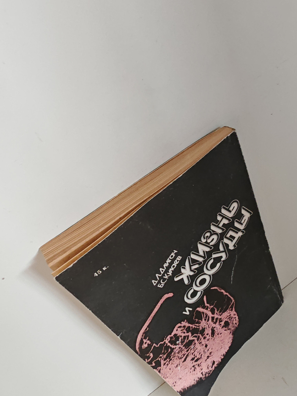 Жизнь и сосуды