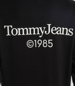 Худи Tommy Jeans - черный(DM0DM18609)