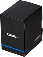 Часы CASIO HDC-700-3A2