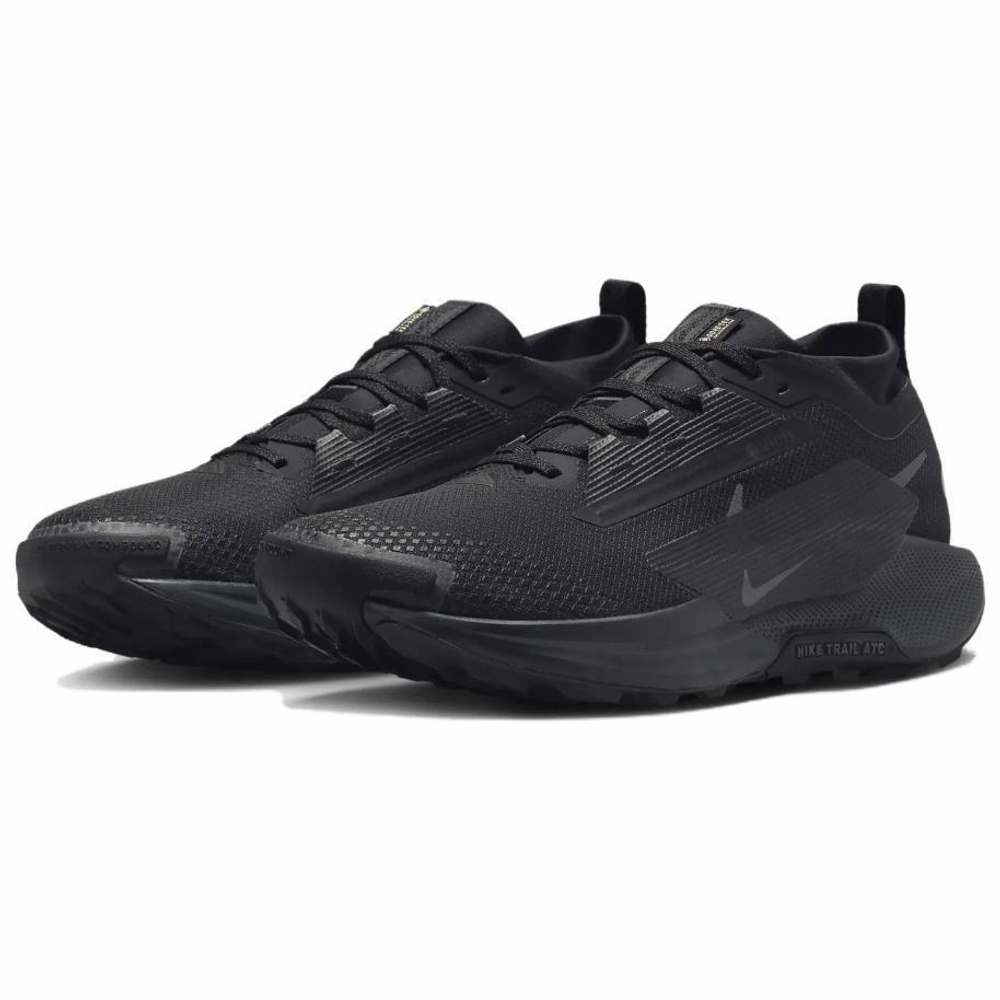 Кроссовки Nike Pegasus Trail 5 Gore-Tex