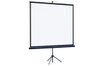 Экран на штативе Lumien 220x220 см (1:1) LEV-100109