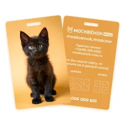 Карта Москвёнок CATS №3 (проход + питание)