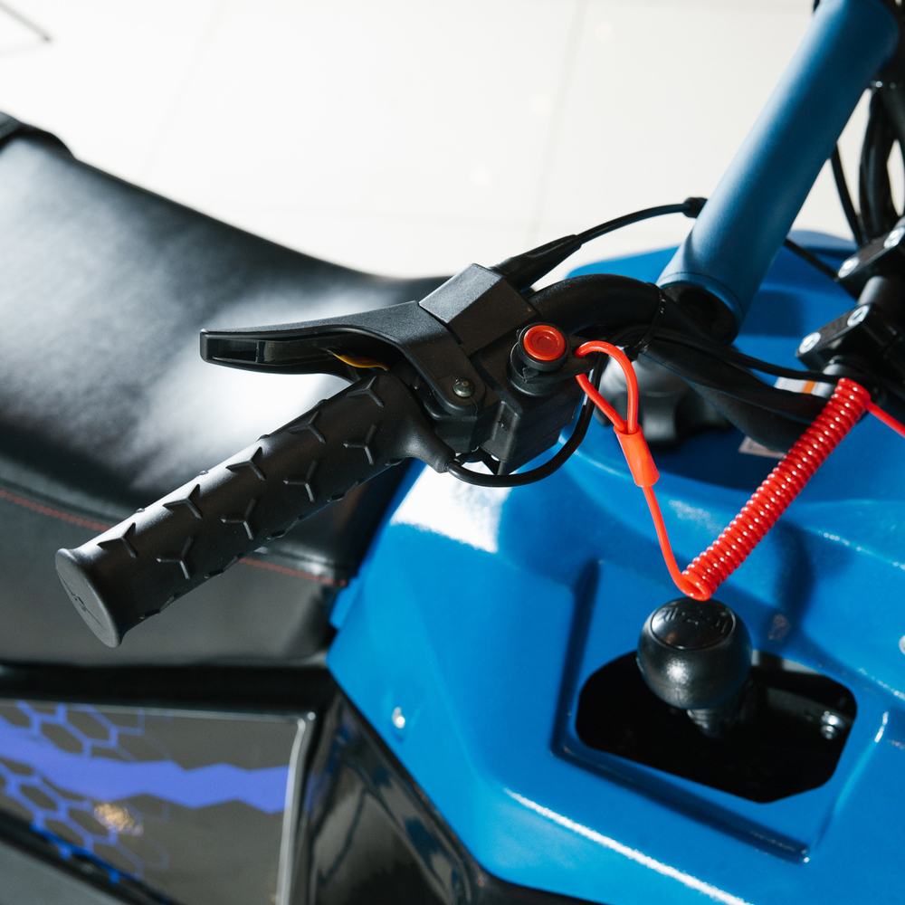 Снегоход IRBIS TUNGUS SK600L синий (ПСМ)