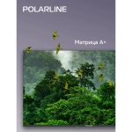 Телевизор PolarLine 65PQ71STC-SM 65" 4K Ultra HD QLED Smart Frameless черный/серебристый