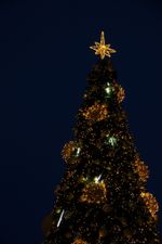 Макушка - Звезда на елку «Роза Ветров» желтая