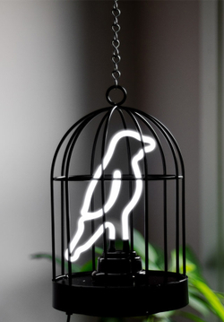 Светильник неоновый bird in a cage