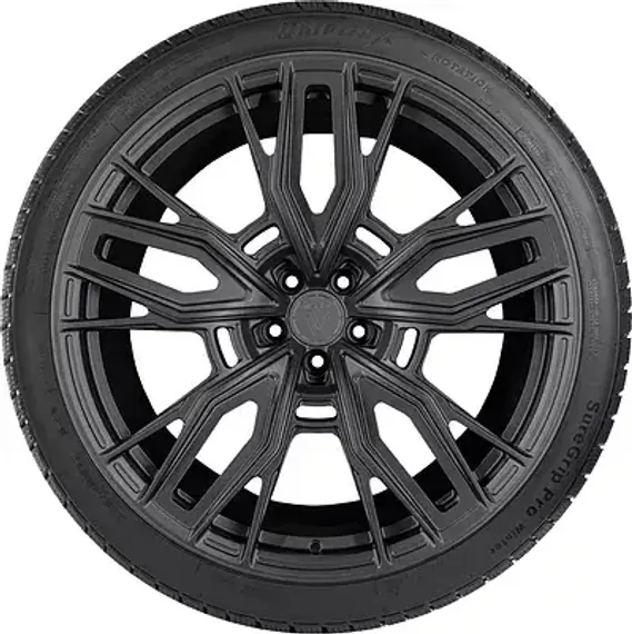 Gripmax SureGrip Pro Winter 295/30 R22 103V XL