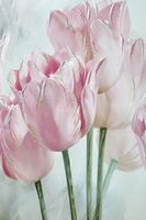 Картина «Розовые тюльпаны 1» (плекси арт) 70x100см.
