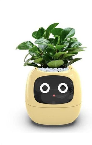 Ivy — умный цветочный горшок с автополивом: полный обзор Ivy — умный цветочный горшок с автополивом: полный обзор