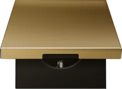 Donel R98 METAL матовое золото накладка для розетки Schuko с с крышкой, 16A 250 В~, серия DA