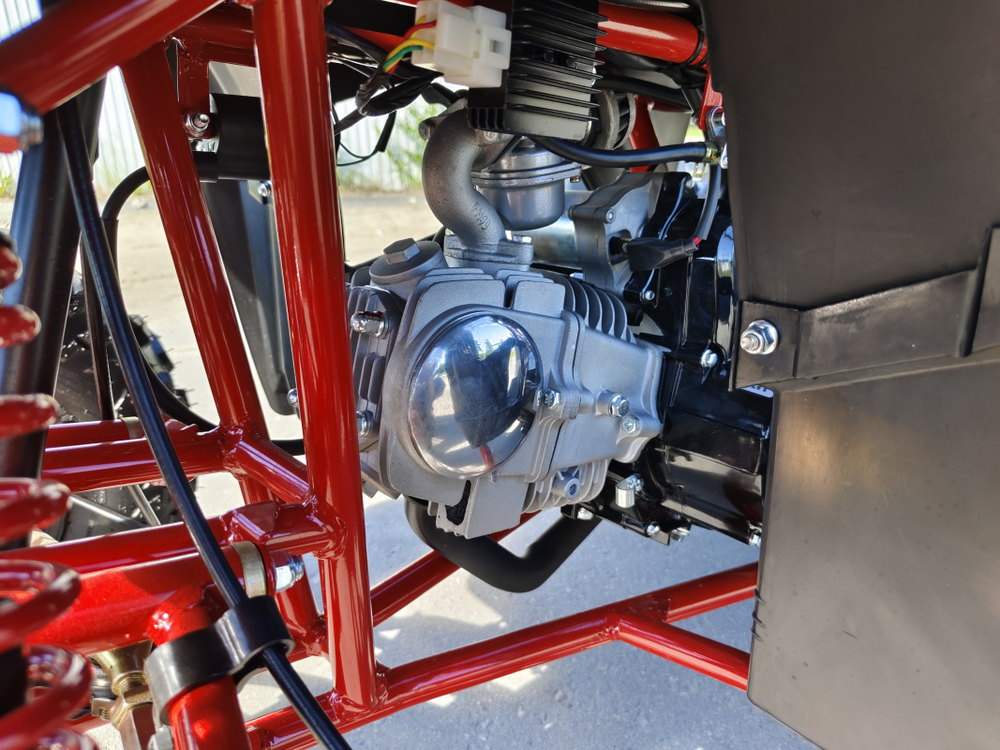 Квадроцикл PROMAX WILD 175 BASIC