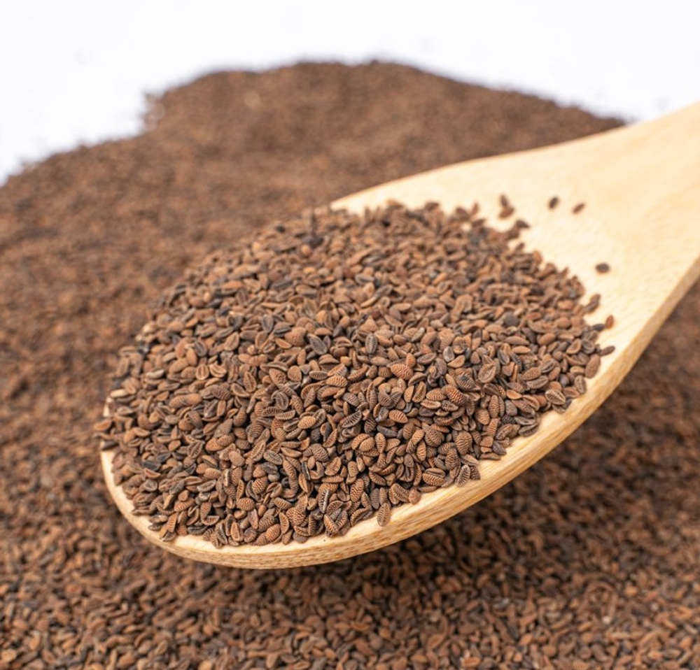 Фацелия 0,5 кг (п/п)