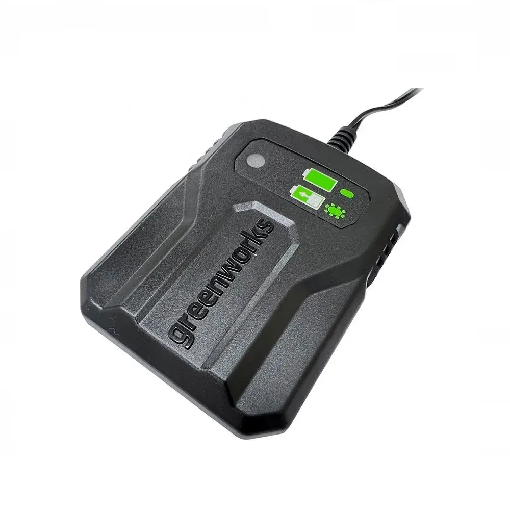 Зарядное устройство Greenworks G24UC2 2946207