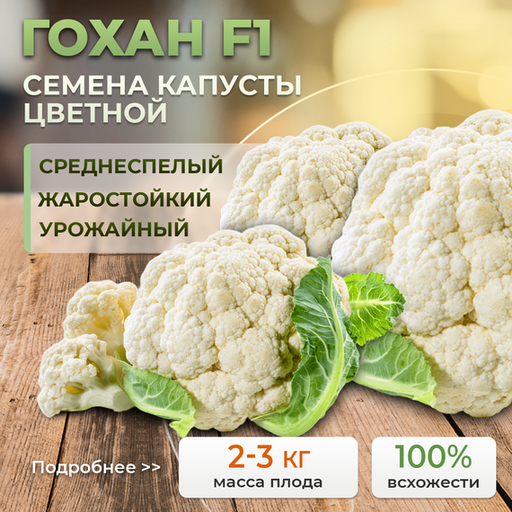 ГОХАН F1 семена капусты цветной Syngenta семена
