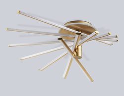 Ambrella Потолочный светодиодный светильник с пультом LineTech FL6244