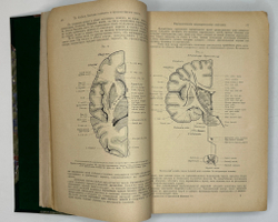 Руководство по практической медицине. Болезни нервной системы, проф. А.Х. Кузнецова, Харьков,1901г.