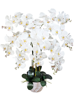 Искусственные Орхидеи белые Люкс 7 веток 75 см в сером кашпо