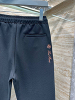 Спортивные штаны Loro Piana