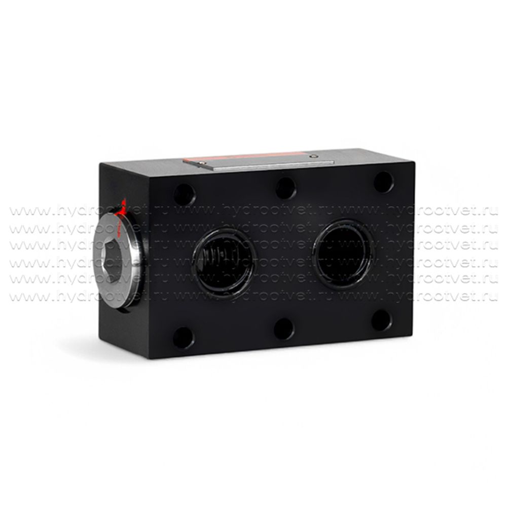 RVP20-1-10 - Обратный клапан для монтажа на плиту Ду20