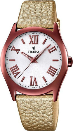 Часы Festina F16649/6