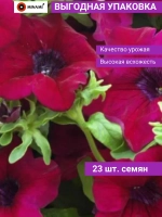 Петуния грандифлора Суперкаскад F1 Бургунди