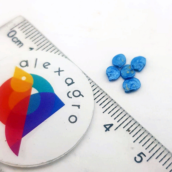 Омброне F1 семена перца сладкого (Sakata /ALEXAGRO) семена – фото 5