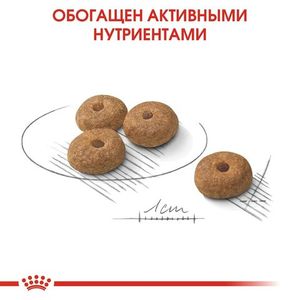 Корм для стерилизованных собак мелких пород, Royal Canin Mini Sterilised