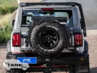 Площадка на 5-ое колесо MEIKA (AK1) с лесенкой MEIKA (AK11) и боковым креплением MEIKA(AK12)