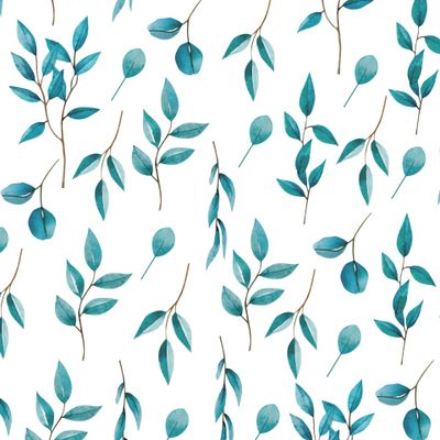 Нежные ветви эвкалипта