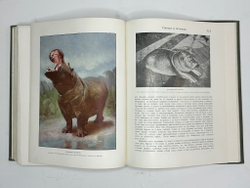 Корниш Чарльз Д. Жизнь животных. В 2-х т. В 2-х книгах. Москва. Издание Кнебель. 1909г.