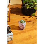 Кружка venus, лиловая