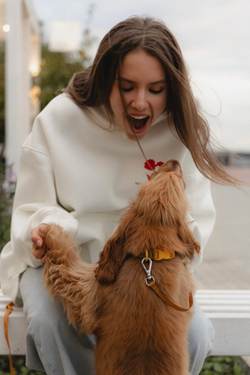 Худи 03 FRANSY x HUGGESHNAYA, с начесом, молочное