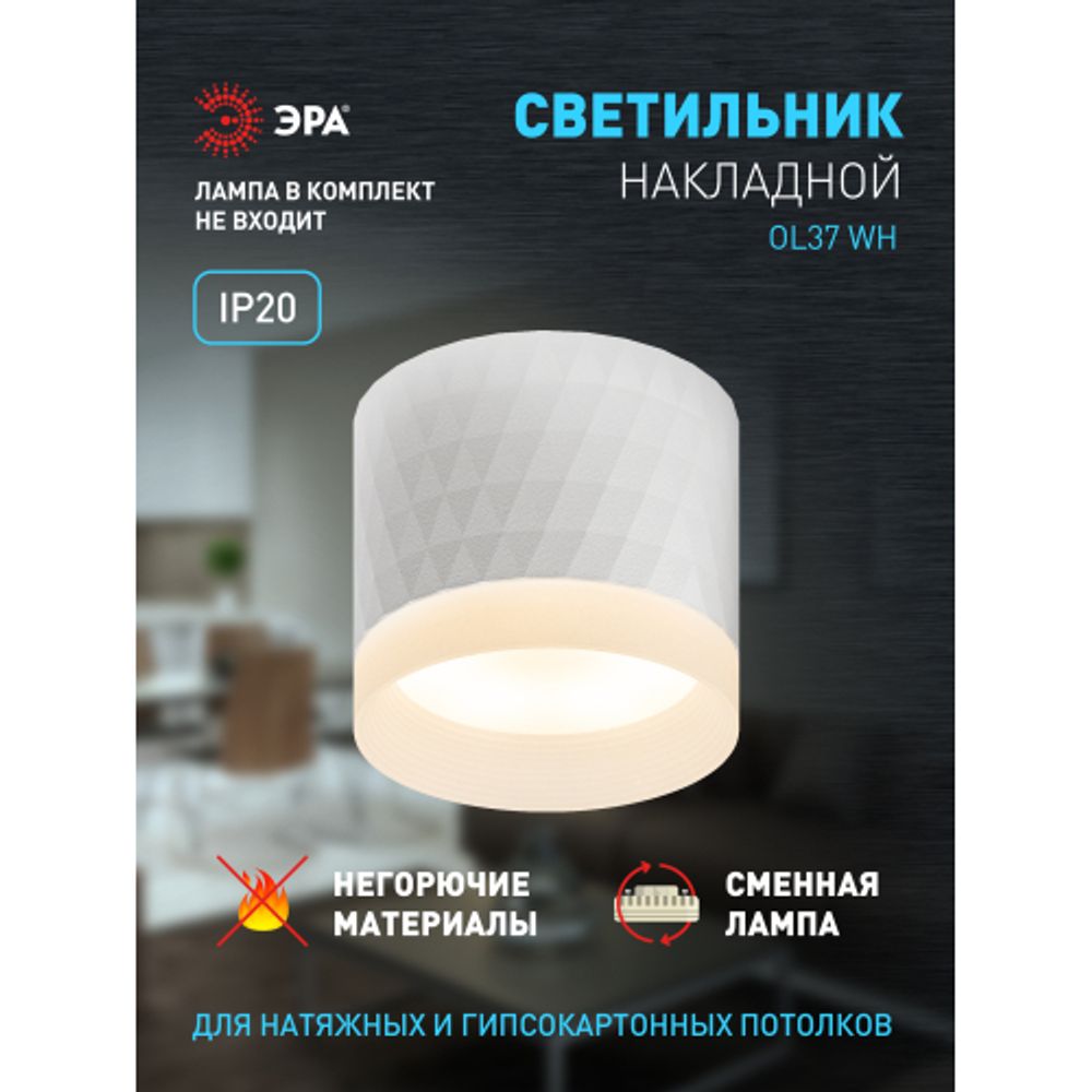 Светильник настенно-потолочный спот ЭРА OL37 WH под GX53 IP20 белый