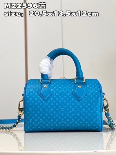 Louis Vuitton Speedy 20