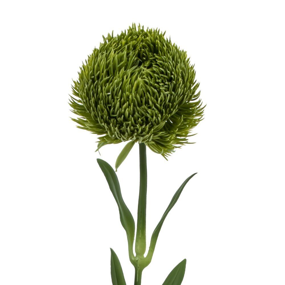 GAEM Цветок искусственный "Диантус", L8 W8 H50,5 см, 2в.