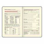 Ежедневник недатированный МАЛЫЙ ФОРМАТ 100x150 мм А6 BRAUBERG "Iguana", под кожу, 160 л., красный, 114468