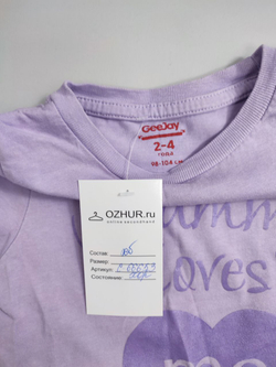 Джемпер GeeJay нежный на 2/4 года