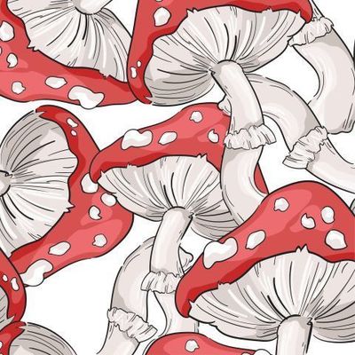 Мухоморы на белом фоне