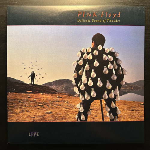 Pink Floyd - Delicate Sound Of Thunder 2LP (США 1988г.)